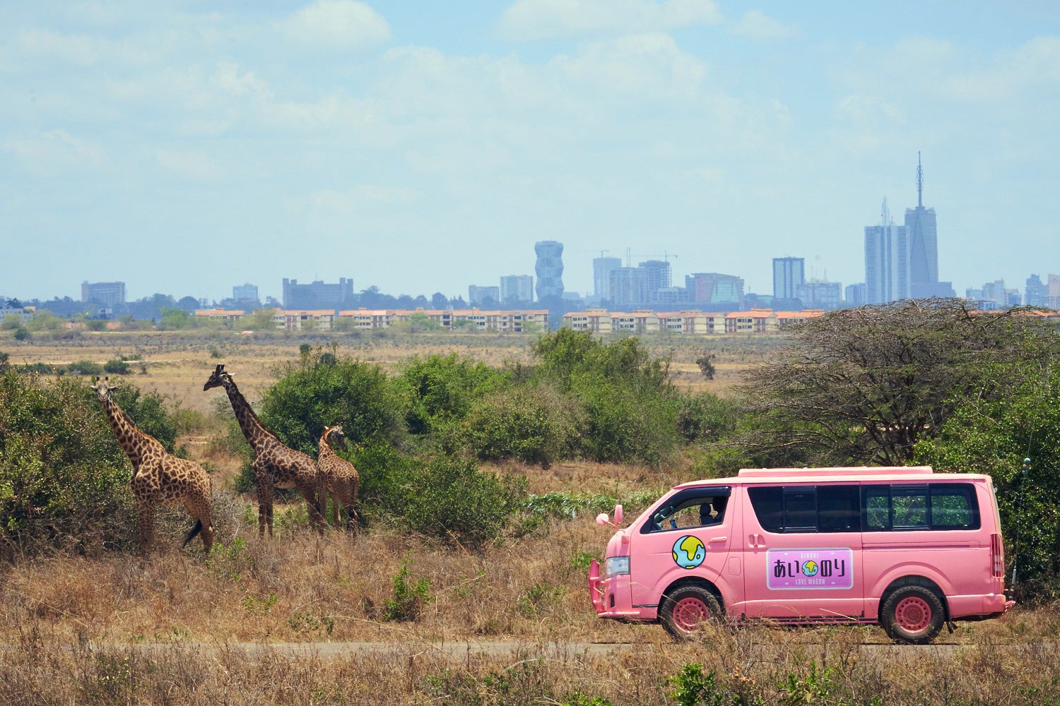 「あいのり」新シリーズ制作決定　舞台はアフリカ