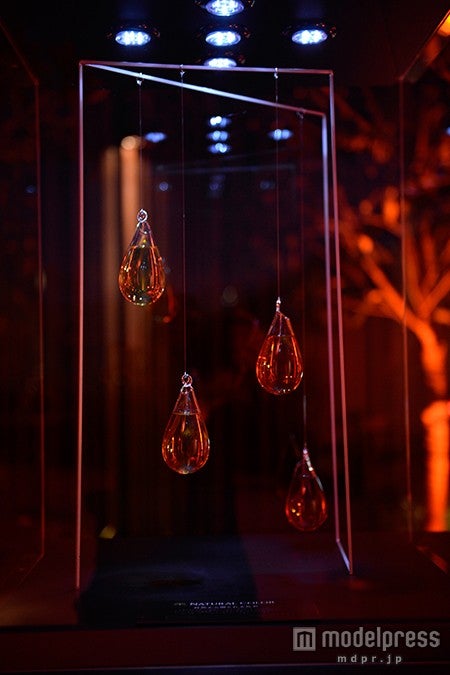 自然から贈られる色彩