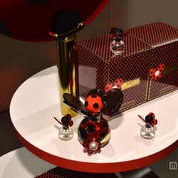 新フレグランス「DOT」