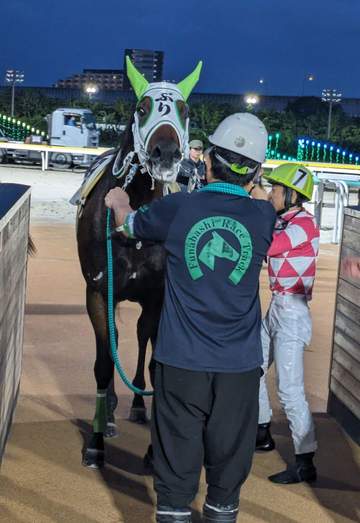 【地方競馬】“ぶり”メンコを付けるブリダイコーンが出世レースを快勝