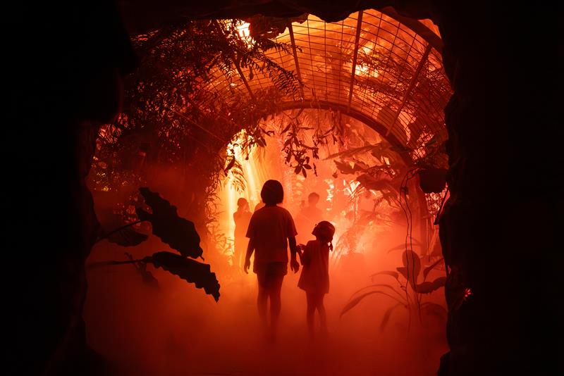 LIGHT CYCLES KYOTO/提供画像