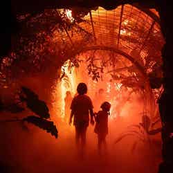 LIGHT CYCLES KYOTO/提供画像