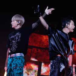 SUPER JUNIOR-D＆E／「SMTOWN LIVE 2019 IN TOKYO」より（提供写真）