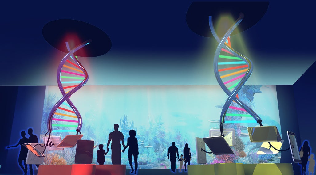 Xparkイメージ／画像提供：横浜八景島