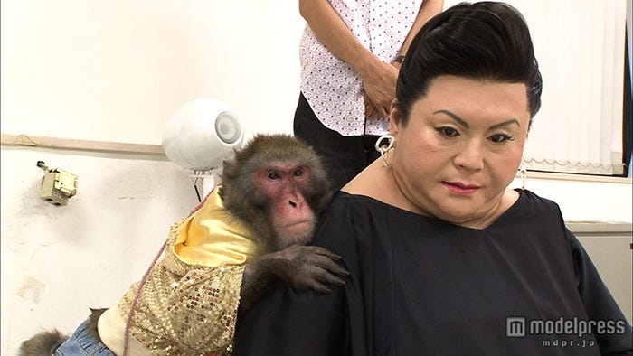 マツコロイド、猿回しに挑戦(C)日本テレビ