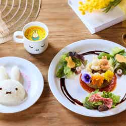 ミッフィーのフラワーブルームガーデン/提供画像