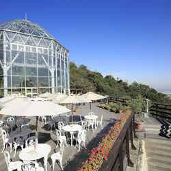 開放感あふれるガーデンテラス/画像提供:神戸布引ハーブ園