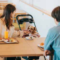 KAREN 浜名湖 with Dog/提供画像
