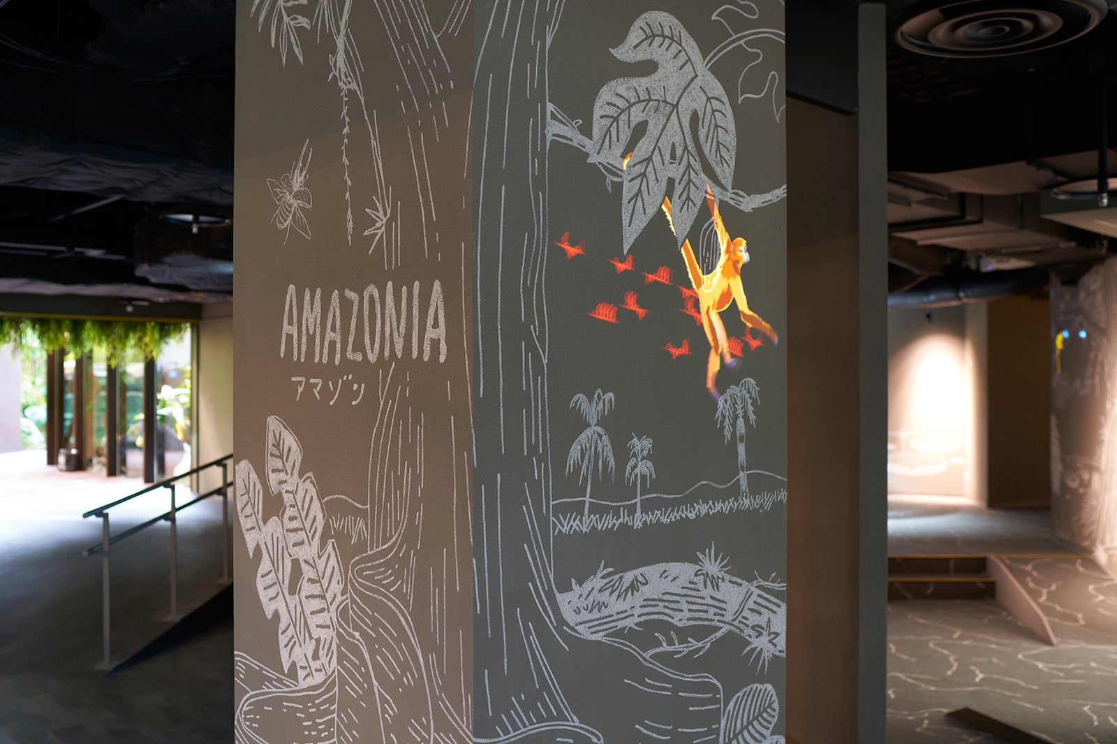 アマゾンゾーン ／画像提供：アクア・ライブ・インベストメント