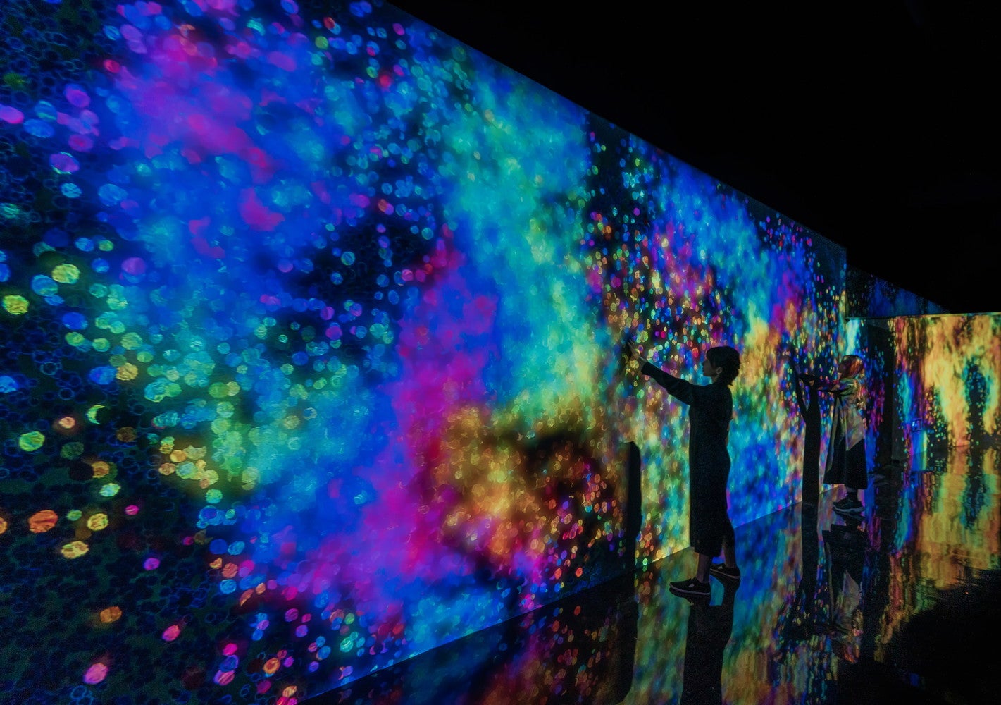 （C）チームラボ