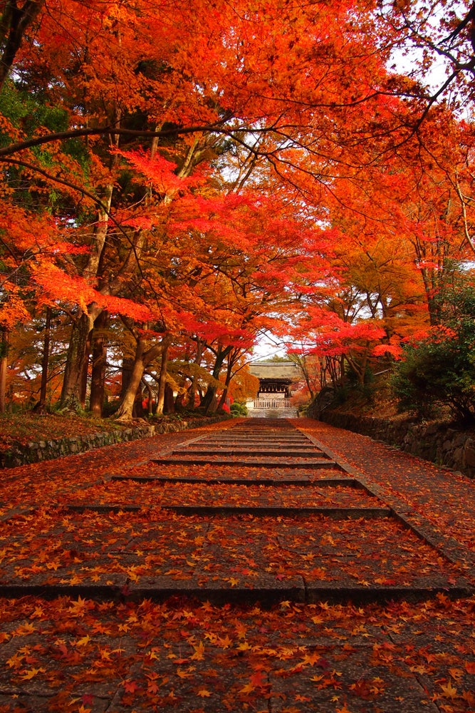 毘沙門堂／画像提供：毘沙門堂