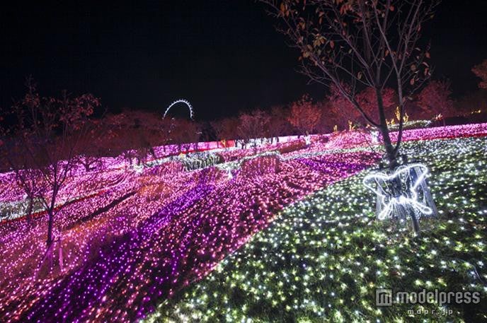 イルミネーション一例