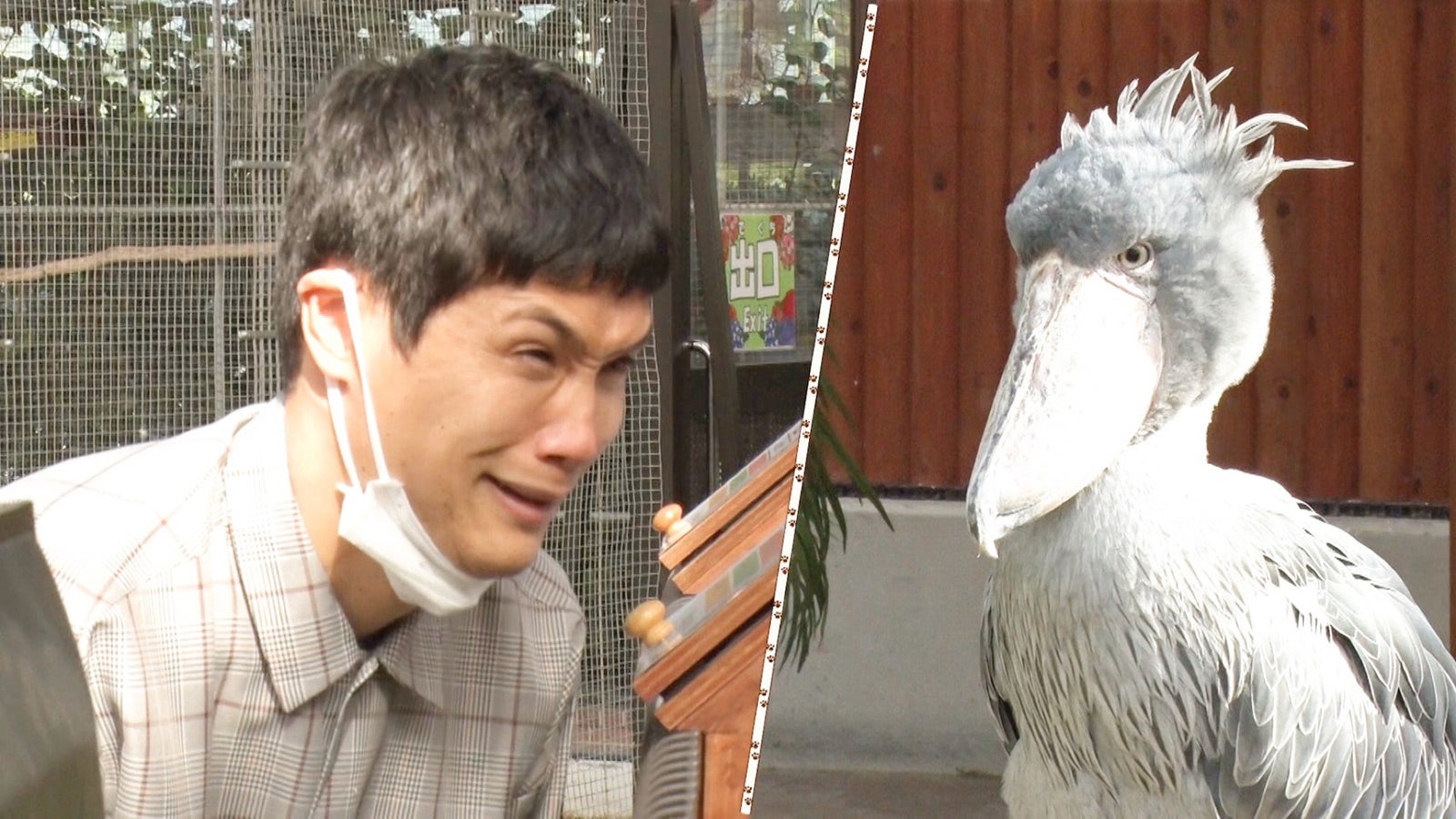 もう中学生（C）テレビ朝日