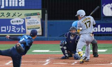 DeNA－阪神は両チーム合わせて4死球 阪神は伏見、大山、DeNAは牧、度会が・・・球場どよめき