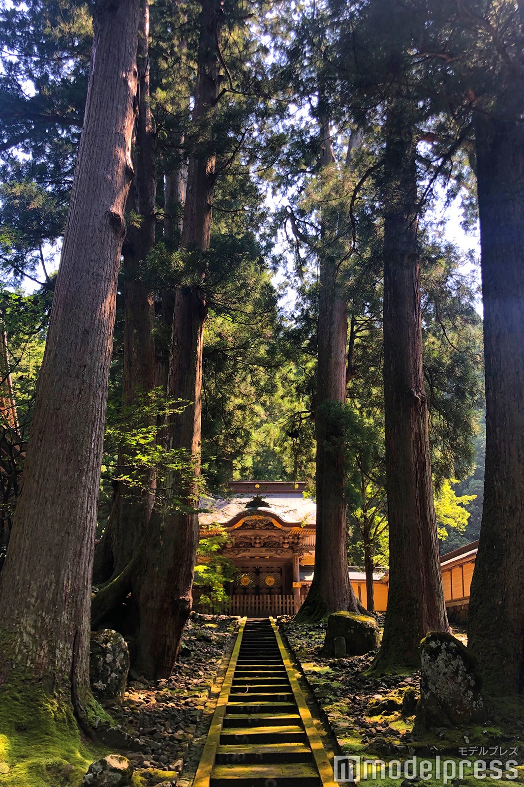 總持寺と並ぶ曹洞宗の大本山である「永平寺」（C）モデルプレス