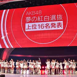 AKB48／写真はリハーサル時（C）モデルプレス