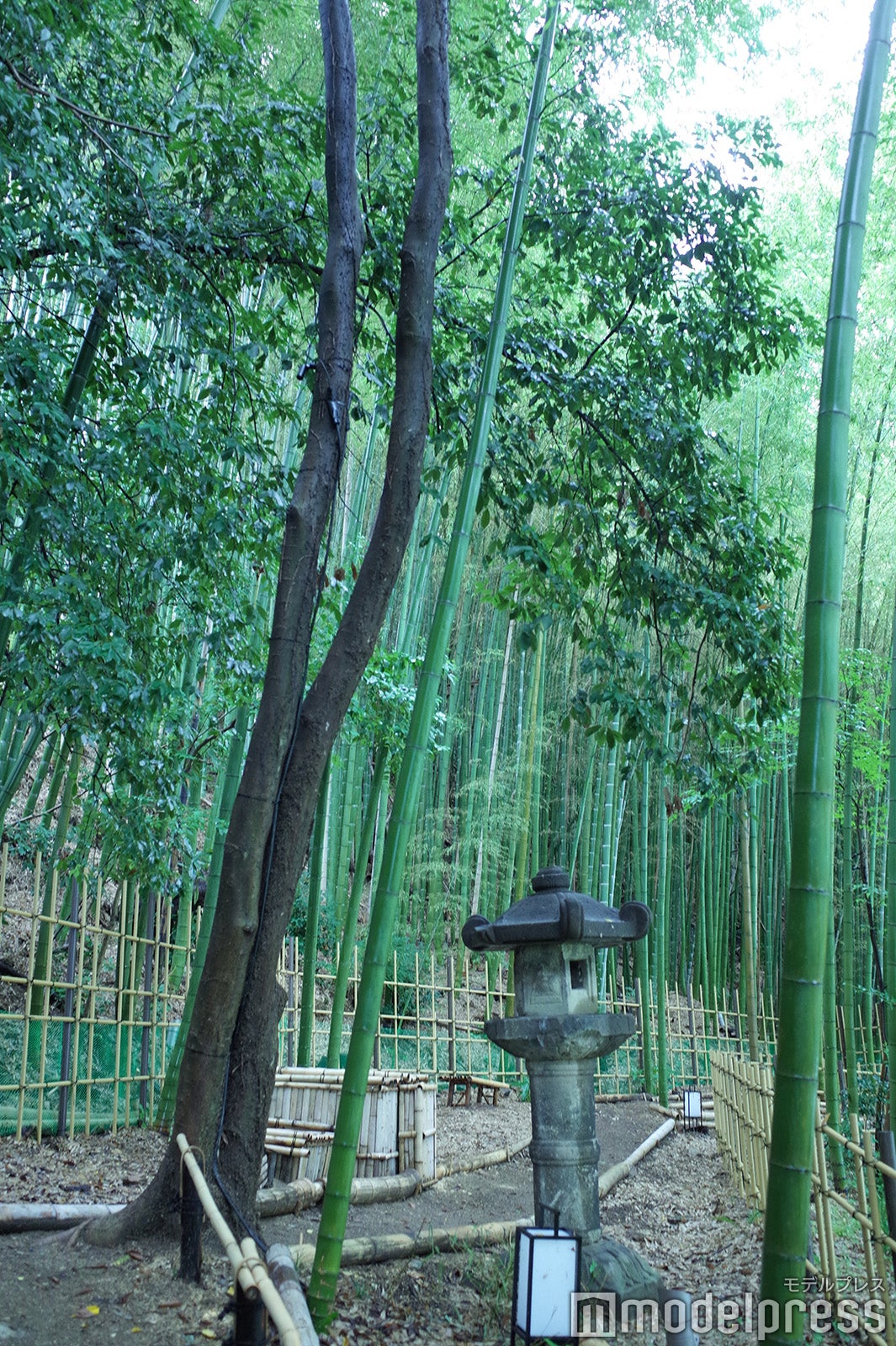 バンヤンツリー・東山 京都（C）モデルプレス
