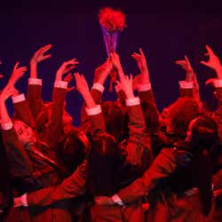 欅坂46 5年間の集大成 涙のラストライブ 卒業メンバー けやき坂46への想いも 詳細レポ セットリスト モデルプレス