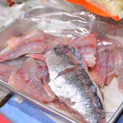 とっても肉厚な松浦産アジ(C)モデルプレス