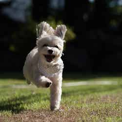 グランフォレスタヴィラ日光/提供画像