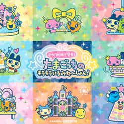 ランチョンマット(提供写真)