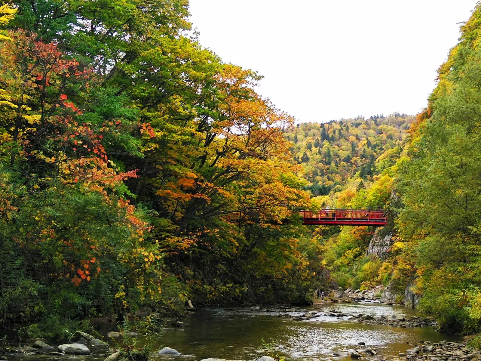 定山渓の名所「二見吊橋」と紅葉の渓谷(北海道)※撮影:大谷修一