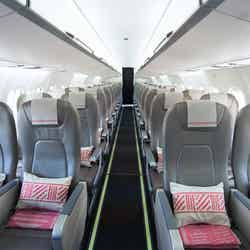 エコノミークラス/フィジーエアウェイズ/提供画像