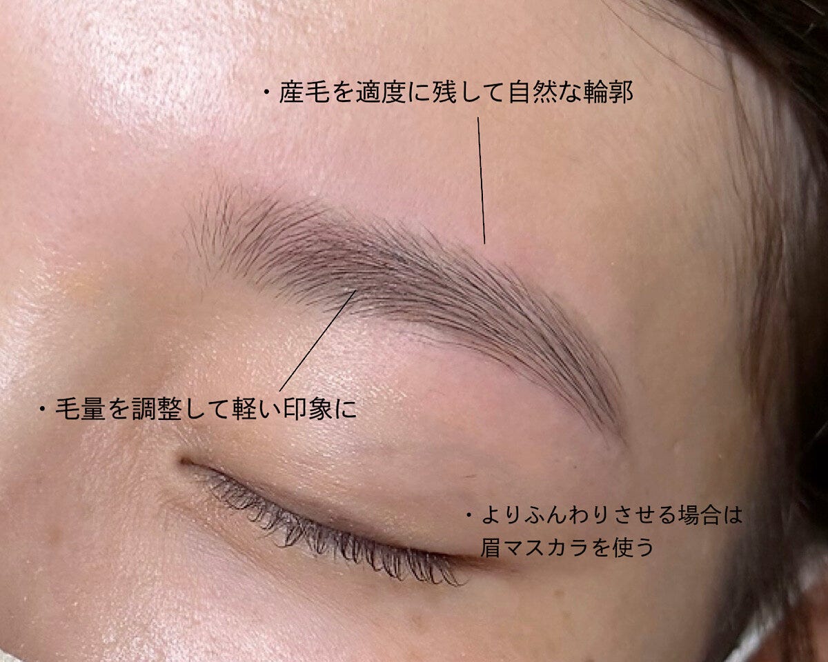 太眉をふんわり仕上げるポイントを文字で解説している女性の眉元写真