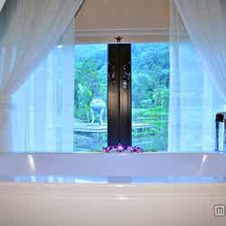 バスタブに浸かりながらゆったり池の風景を楽しめる