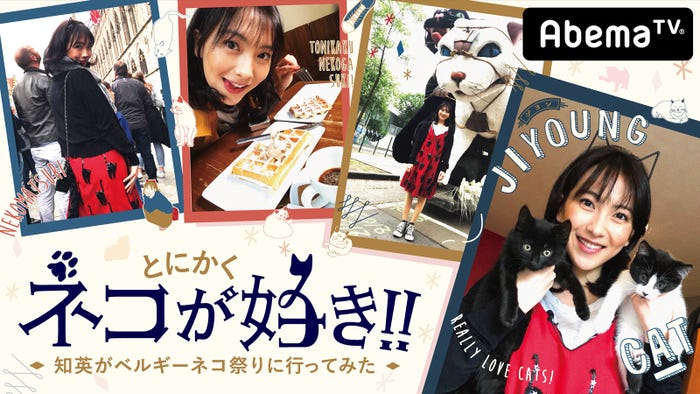 『とにかくネコが好き!!~知英がベルギーネコ祭りに行ってみた~』(C)AbemaTV