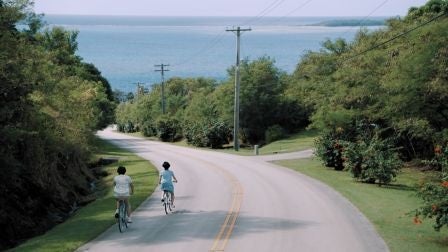 自転車で風を切るCMのワンシーン