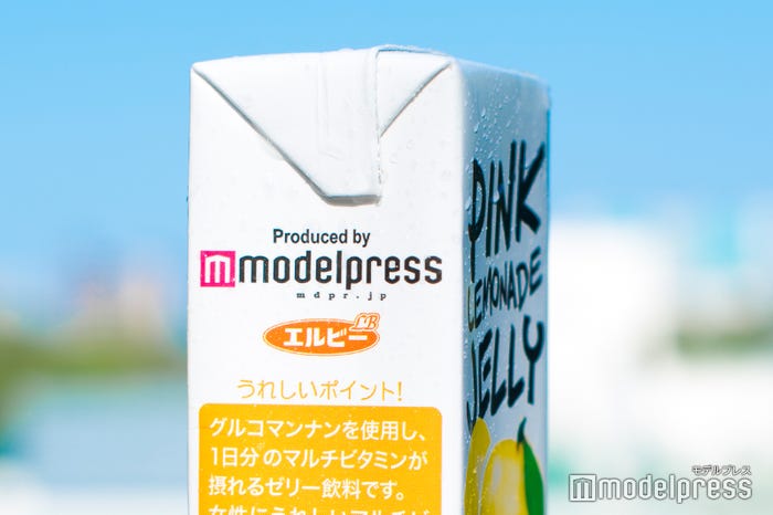 モデルプレスがエルビーと共同開発(C)モデルプレス