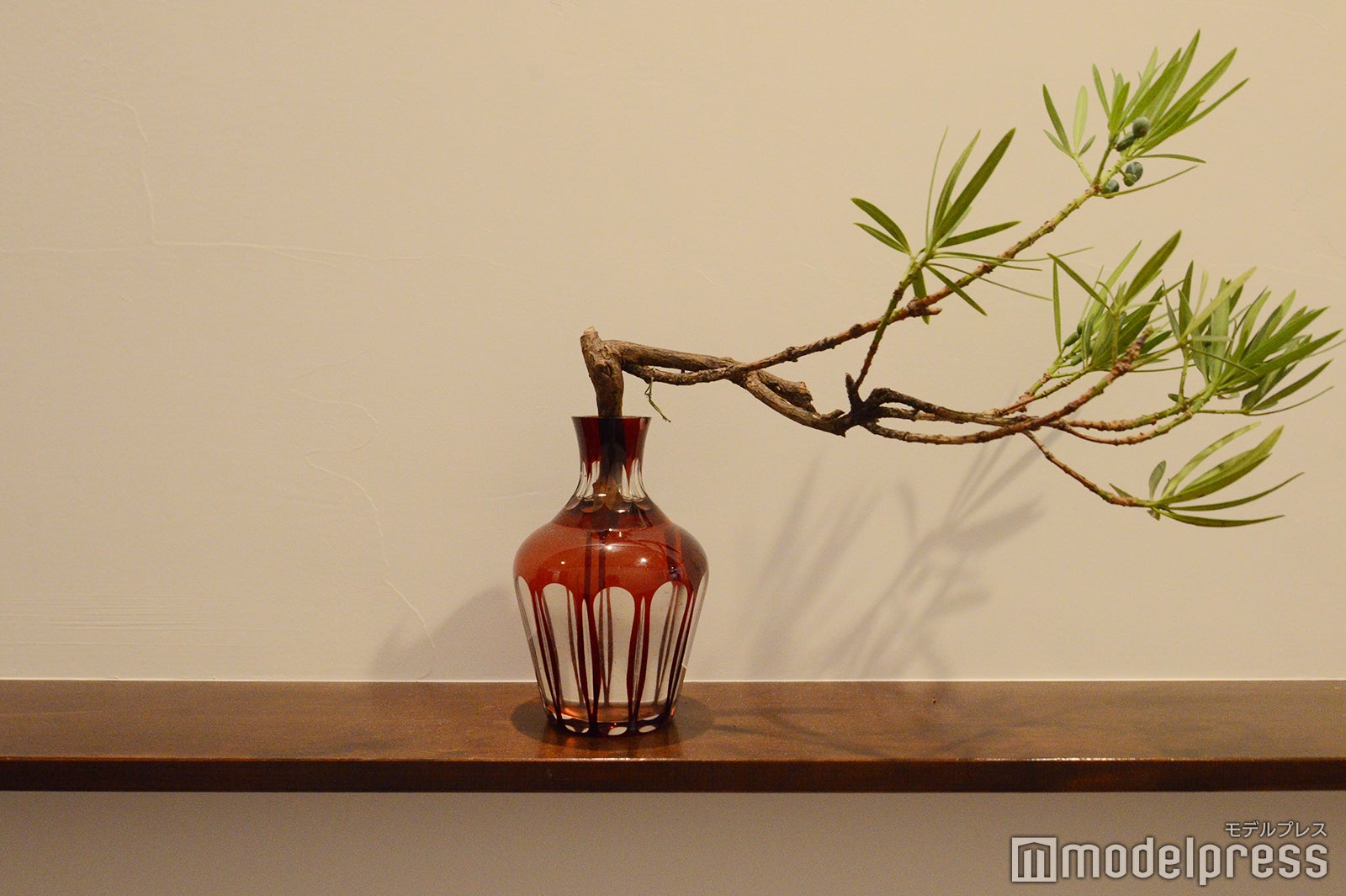 月と鮪 石上（C）モデルプレス