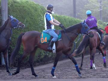 【新馬戦】シェーンリヒト 好調エフフォーリア産駒の良血馬が初陣Vへ 津村「追えば追うほど伸びそうです」