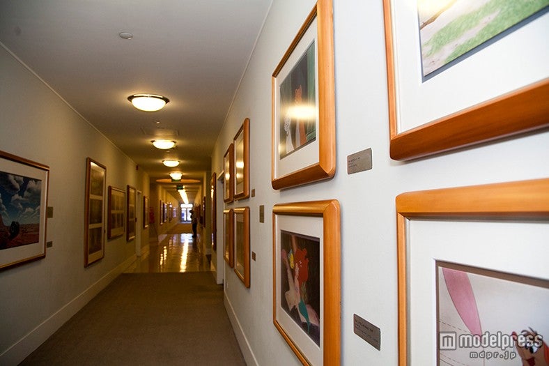 敷地内で最も古いスタジオには名作の原画の数々が展示／撮影：Kaori Suzuki