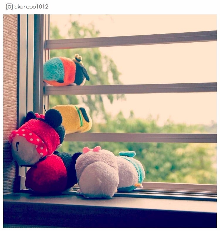 「外の世界に行ってみたいなぁ」みんなで何を見ているの？