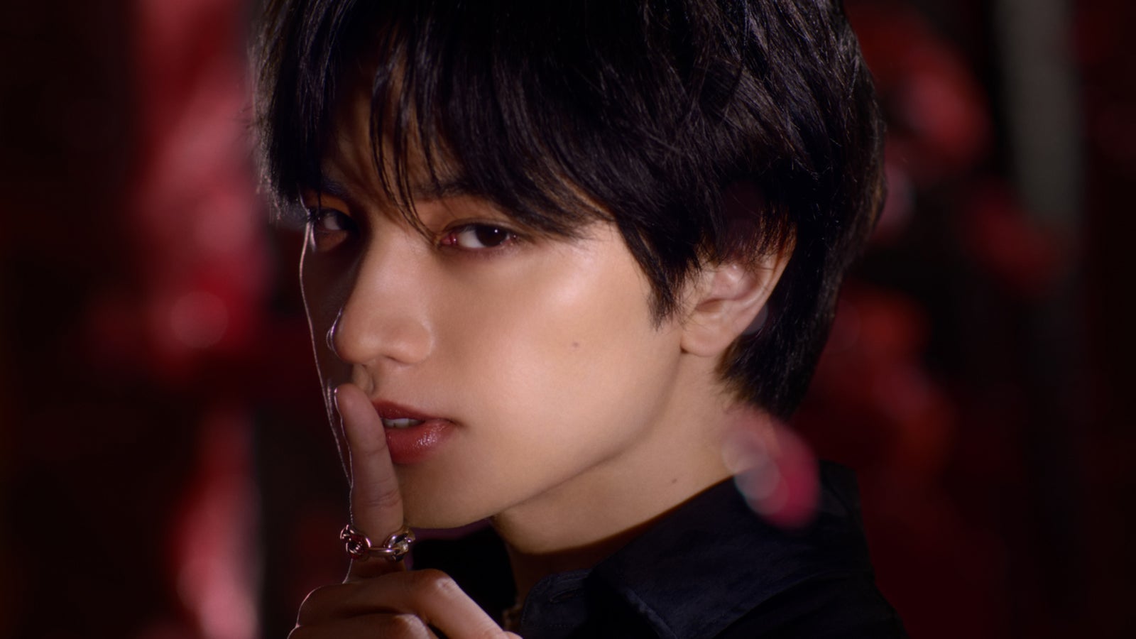 中島健人（提供写真）