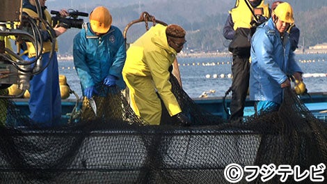 関口メンディー