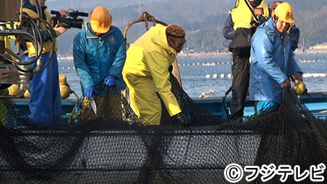 関口メンディー