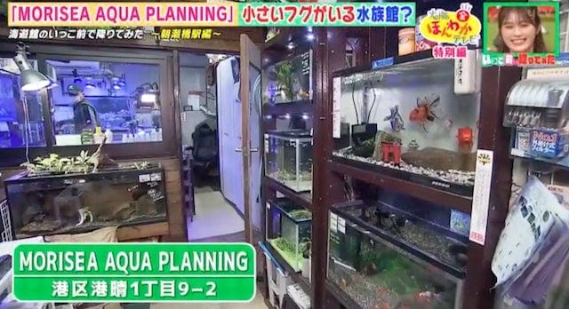 MORISEA AQUA PLANNING