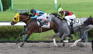 【新馬戦】マートングレイス センス見せ初陣V 高木師「いい内容でした」