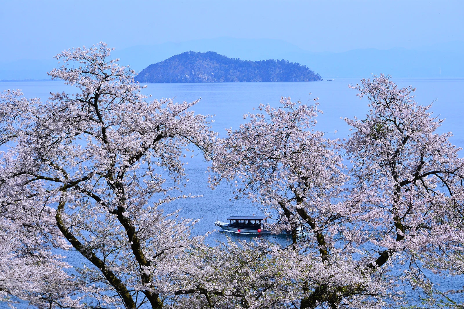 春爛漫！滋賀の琵琶湖や桜を楽しめる観光クルーズ5選