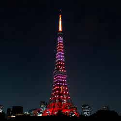 東京タワー“バレンタインカラー”の特別ライトアップ点灯/画像提供:東京タワー