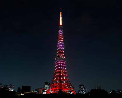 東京タワー“バレンタインカラー”の特別ライトアップ点灯