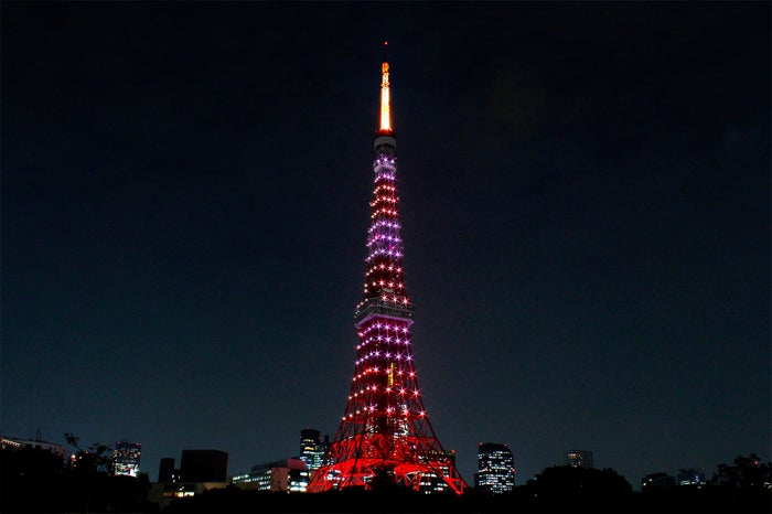 東京 タワー ライト アップ 今日