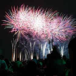 第23回東京湾大華火祭 23rd Tokyo Bay Great Fireworks Festival by jetalone