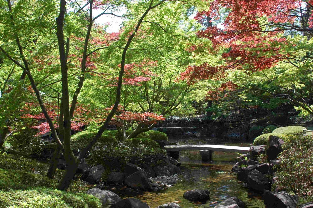 大田黒公園（提供画像）