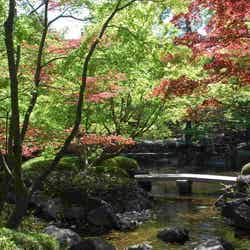大田黒公園(提供画像)