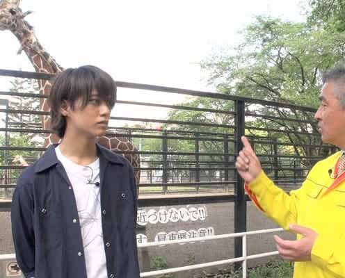 King & Prince高橋海人、緊急取材へ