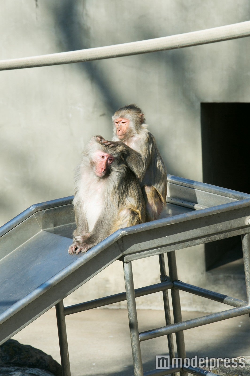 井の頭自然文化園（C）モデルプレス